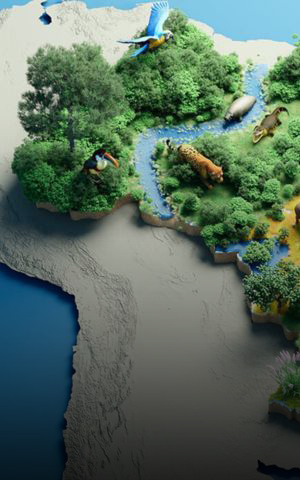 Stylized relief map of Brazil featuring different biomes illustrated with vegetation, rivers, and native wildlife.