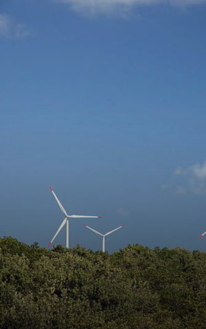 Três aerogeradores brancos sobre vegetação verde sob céu azul, representando a geração de energia eólica na transição energética