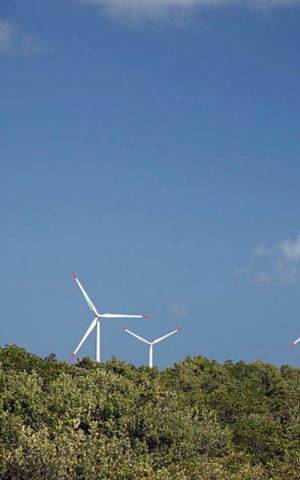 Três aerogeradores brancos sobre vegetação verde sob céu azul, representando a geração de energia eólica na transição energética