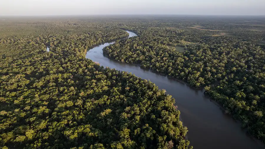 Vista aérea de um rio sinuoso cortando uma vasta e densa floresta tropical sob a luz suave do dia.