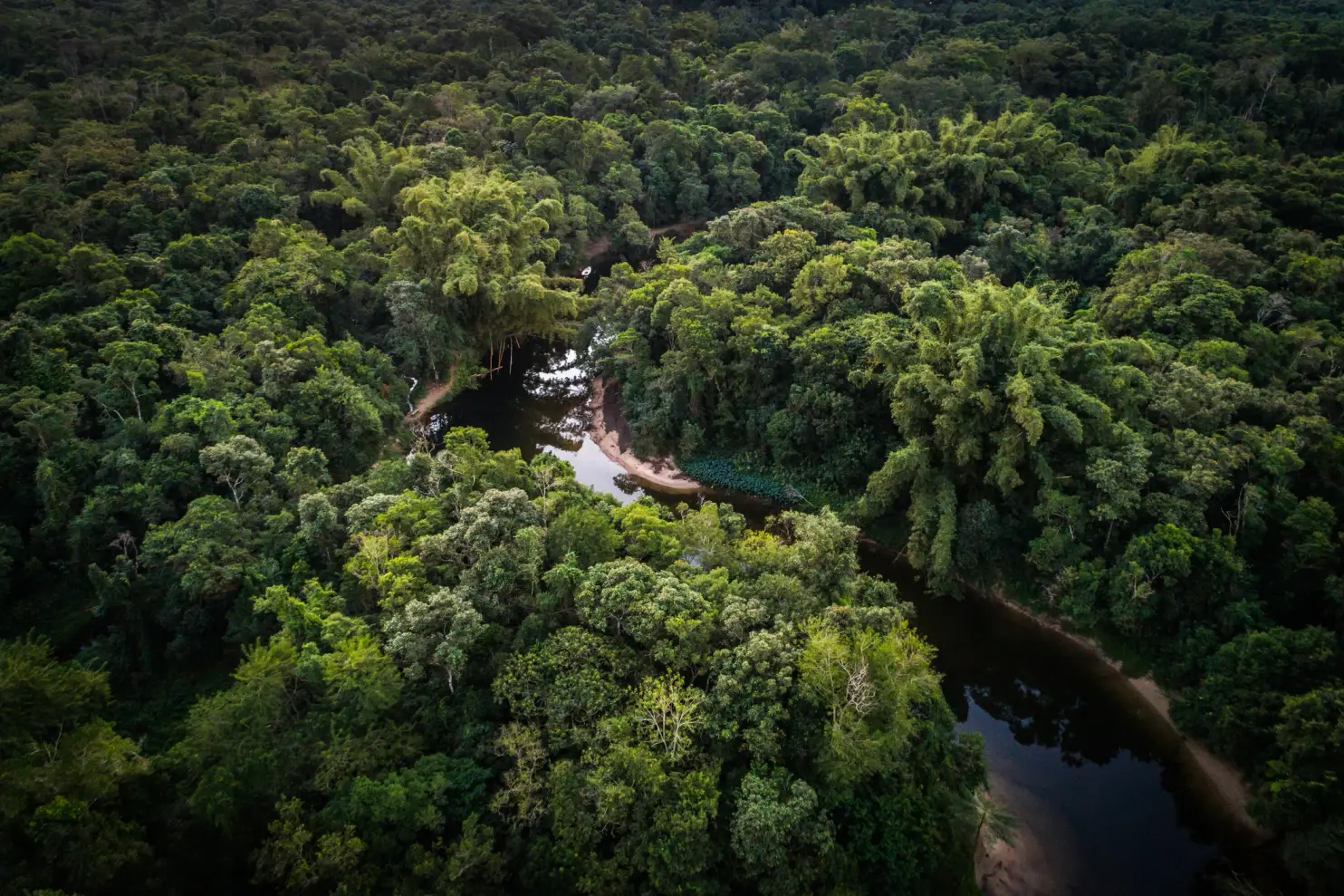 Vista aérea de um rio estreito e escuro serpenteando por uma floresta densa com diferentes tons de verde.