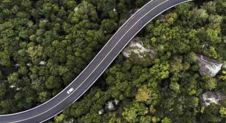 Vista aérea de estrada asfaltada sinuosa com um carro branco cortando floresta densa.