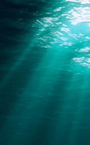 Underwater view of the ocean with sunlight rays filtering through the turquoise water surface.