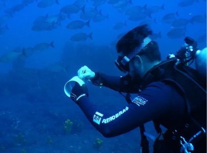 Homem debaixo d’água com equipamento de mergulhador, rodeado de peixes.
