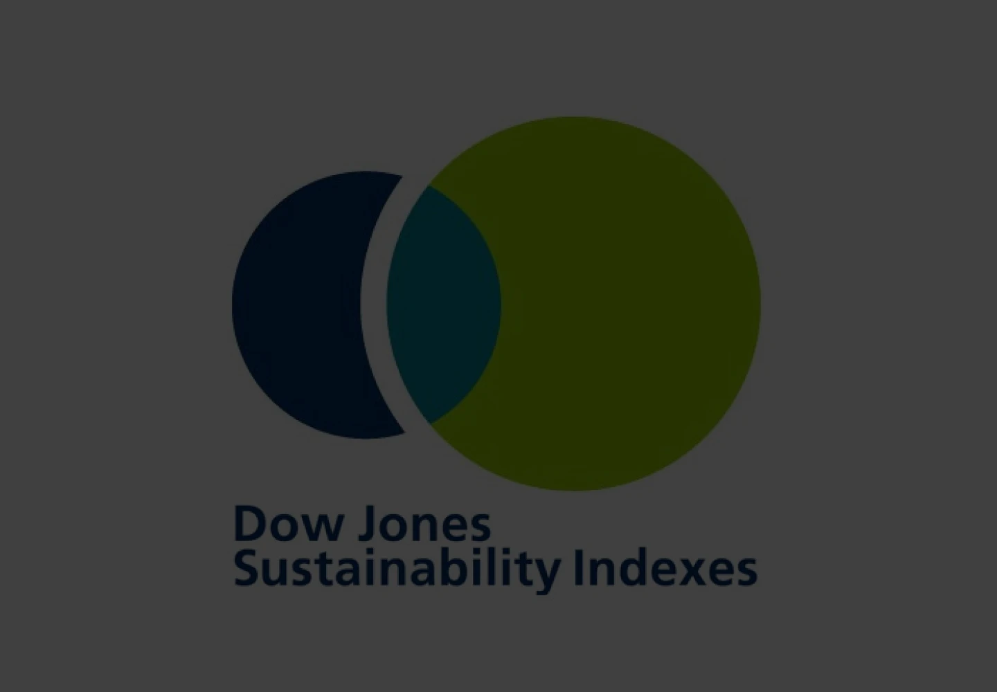 Logo of the Dow Jones Sustainability Index. Dow Jones Sustainability Indexes.