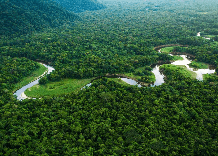 Foto aérea do Rio Amazonas, representando o compromisso da Petrobras com a natureza na gestão de seus recursos hídricos.