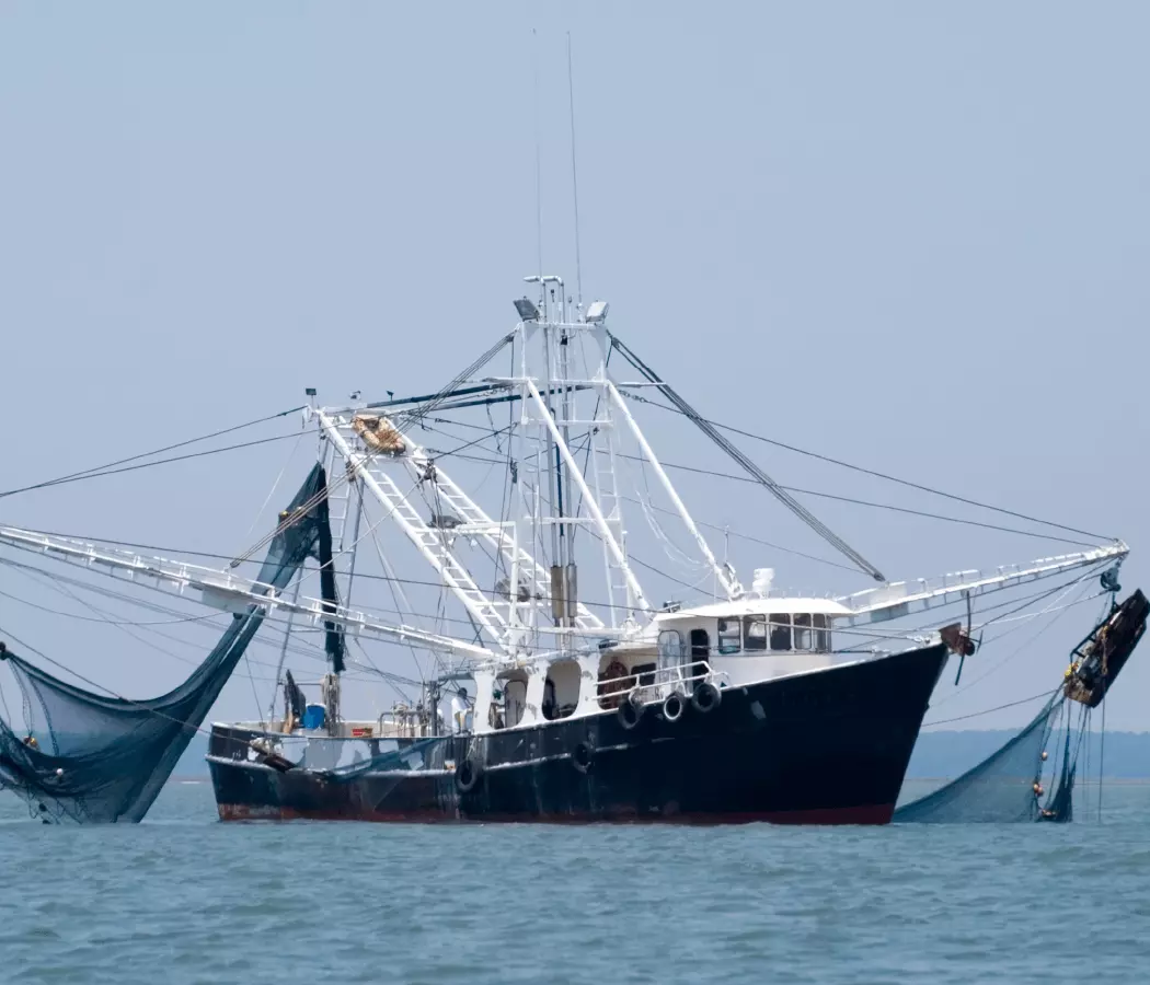 Picture of a fishing boat at sea, representing the use of Petrobras Marine Diesel Oil.
