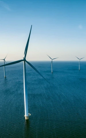 Daytime aerial photography of several wind turbines at sea.