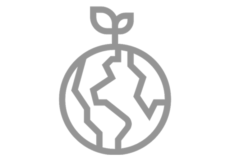 Ilustração simplificada de um mundo com uma folha no topo.