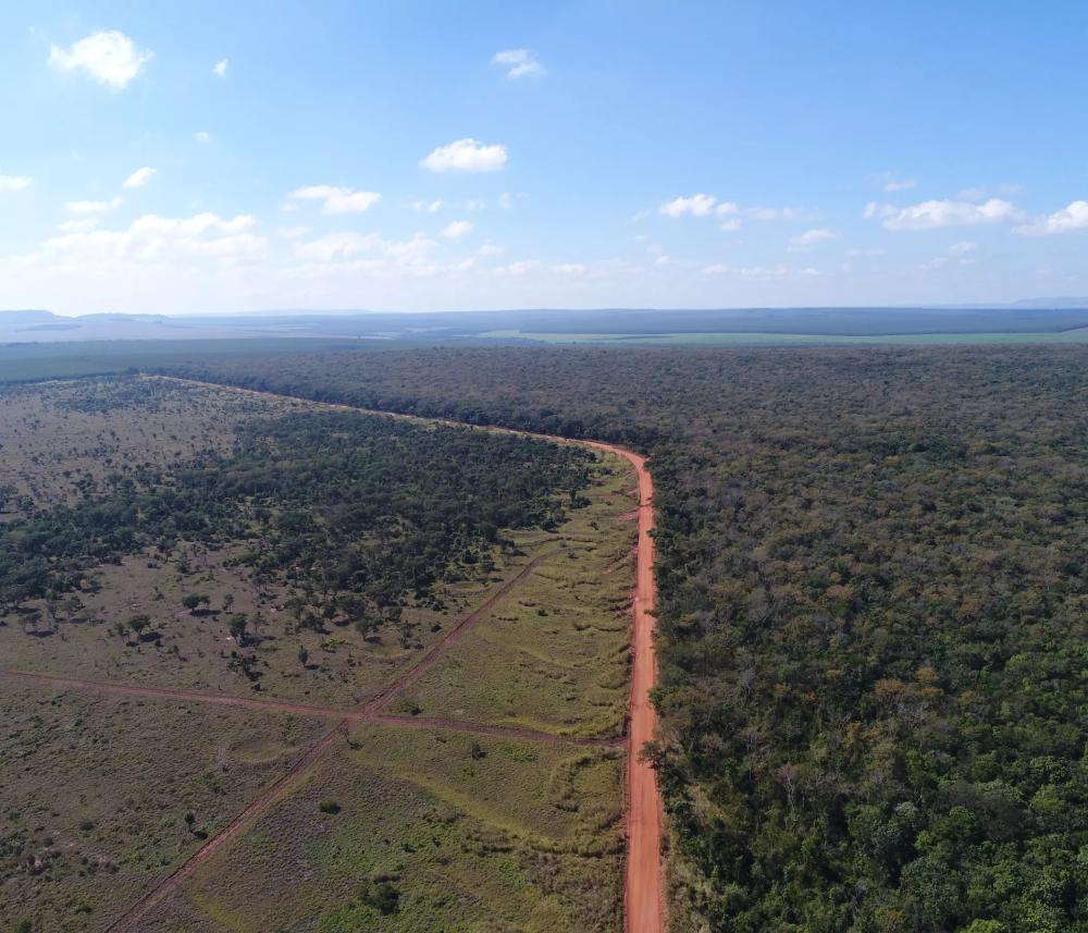 Foto aérea de áreas reflorestadas com ajuda da Petrobras no Cerrado brasileiro.
