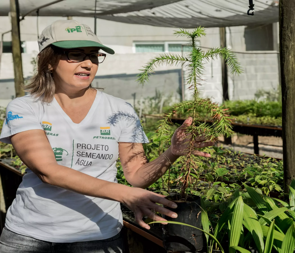 Woman amidst several seedlings native to the Atlantic Forest. She wears a Cap and T-shirt from the “Semeando Água” Project, with the Petrobras brand.