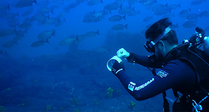 Diver taking notes with fish in the background. Budões Project.