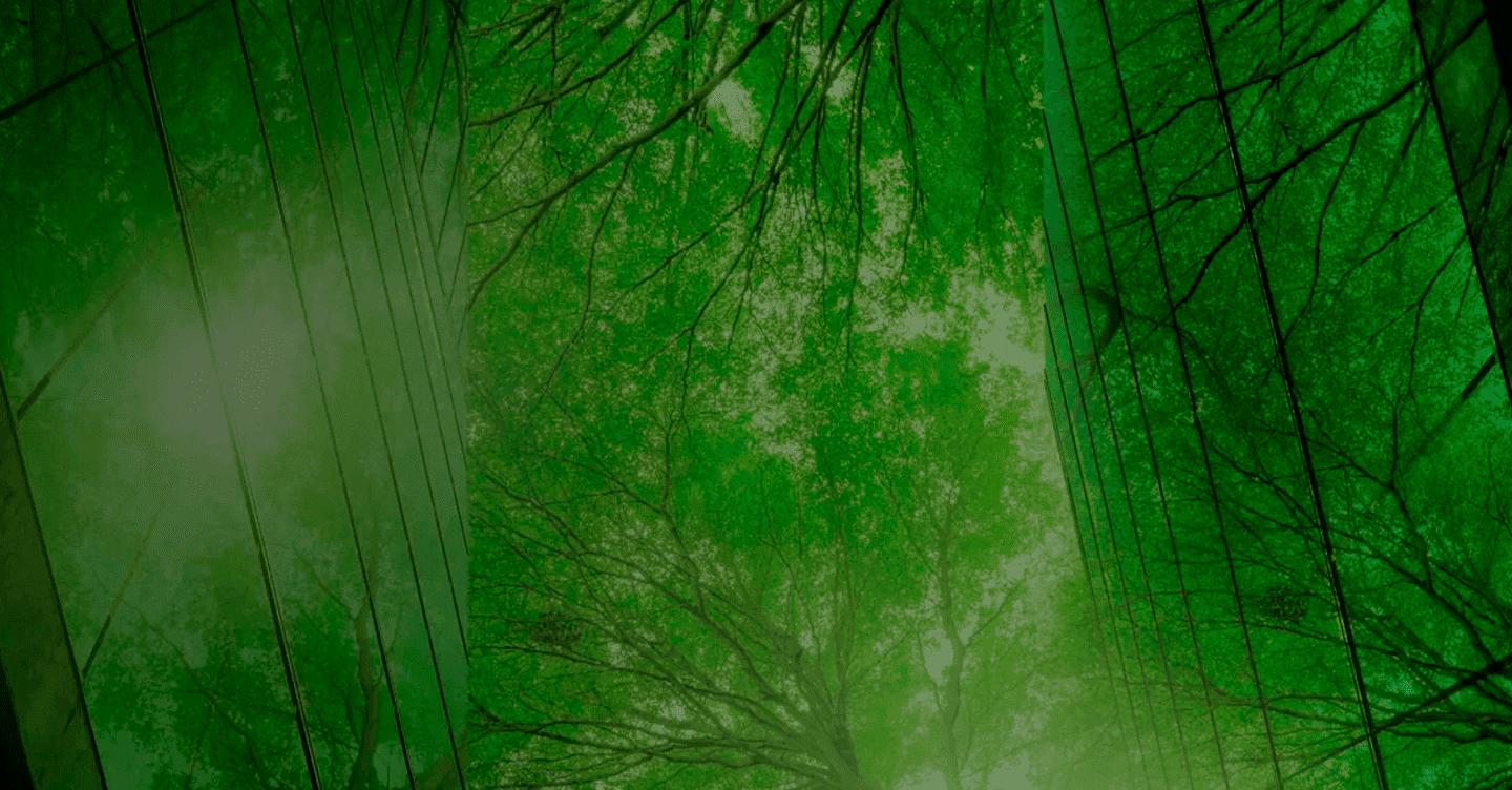 Photograph of two buildings with glass facades reflecting tree branches.