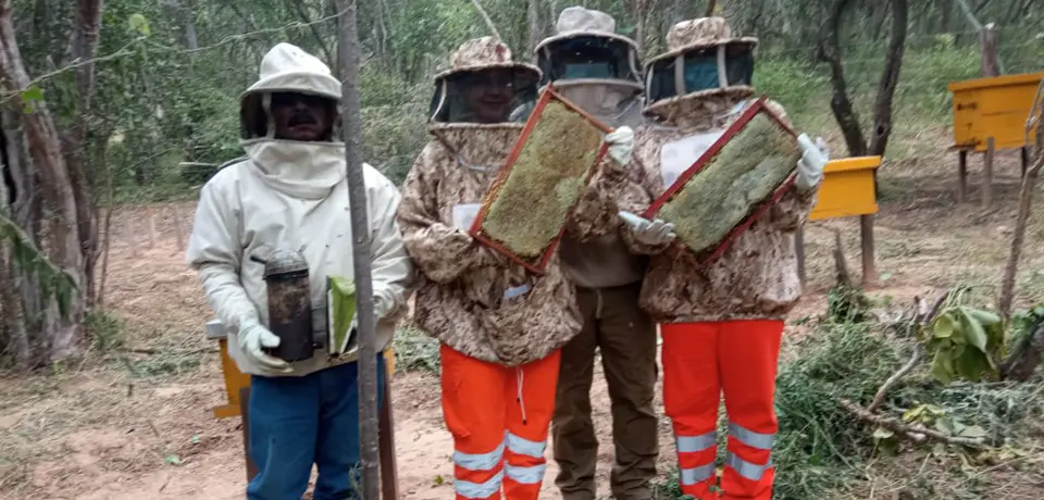 homens com roupas de apicultores