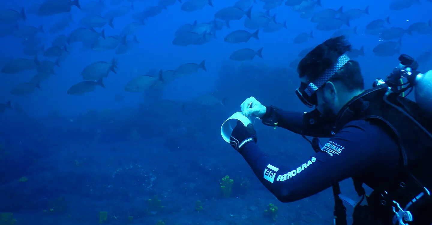 Mergulhador fazendo anotações com peixes ao fundo. Projeto Budiões