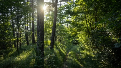 Photo of a dense forest, representing Petrobras' focus on environmental conservation.