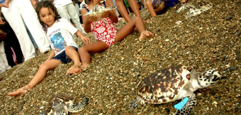 crianças na praia com tartarugas