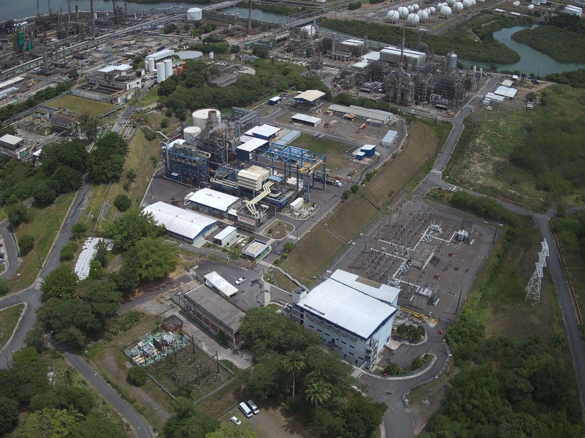 Photo of the Termobahia Plant